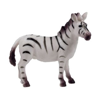 Obrázek z Zebra plast (12) 