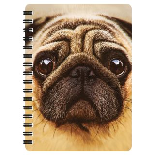 Obrázek z Notes 3D 11x14cm - mops (10) 
