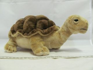 Obrázek z Želva plyš 20cm 