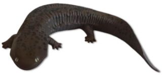 Obrázek z Figurka Velemlok japonský 7cm 