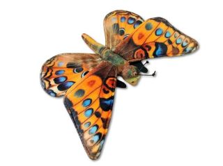 Obrázek z Motýl oranžový plyš 30cm (300) 