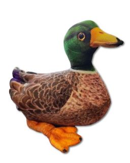 Obrázek z Kačer plyš 28cm (96) 