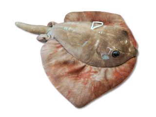 Obrázek z Rejnok hnědý plyš 30cm (150) 