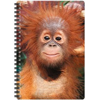 Obrázek z Notes 3D 14x21cm - orangutan (10) 