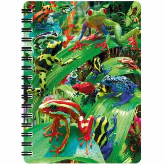 Obrázek z Notes 3D 11x14cm - žáby pralesničky (10) 