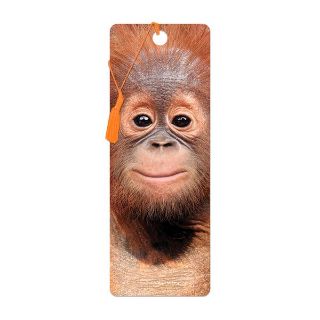 Obrázek z Záložka 3D 15,5x5,7cm - orangutan (25) 