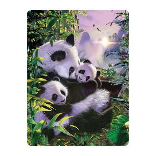 Obrázek z Pohlednice 3D 16cm - panda s mláďaty (25) 