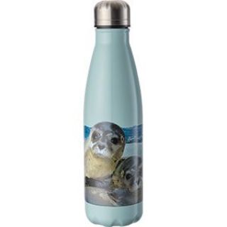 Obrázek z Termoska 500ml tyrkysová - želva 