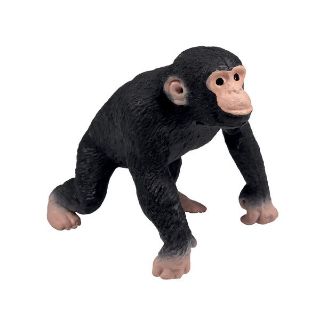 Obrázek z Šimpanz strečový (24) 