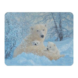 Obrázek z Magnet 3D 7x9cm - lední medvěd (25) 