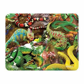 Obrázek z Magnet 3D 7x9cm - plazi (25) 