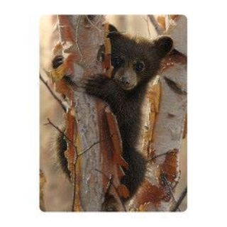 Obrázek z Pohlednice 3D 16cm - medvídek (25) 