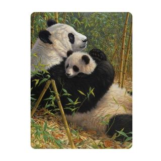Obrázek z Pohlednice 3D 16cm - panda s mládětem (25) 