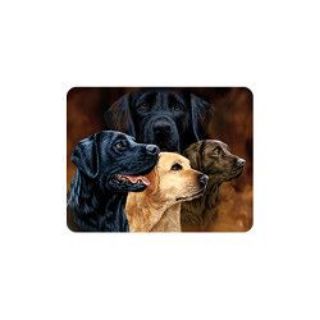 Obrázek z Magnet 3D 7x9cm - pes labrador (25) 
