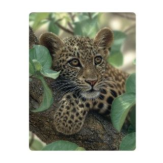 Obrázek z Pohlednice 3D 16cm - leopard (25) 