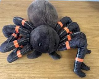 Obrázek z Pavouk tarantule hnědá plyš 30cm 