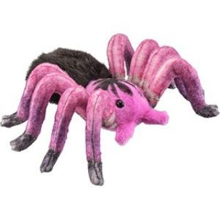 Obrázek z Pavouk tarantule růžová plyš 17cm(6) 