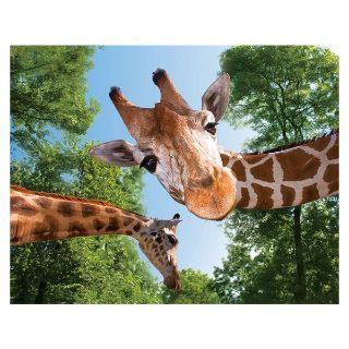 Obrázek z Magnet 3D 7x9cm - žirafa (12) 